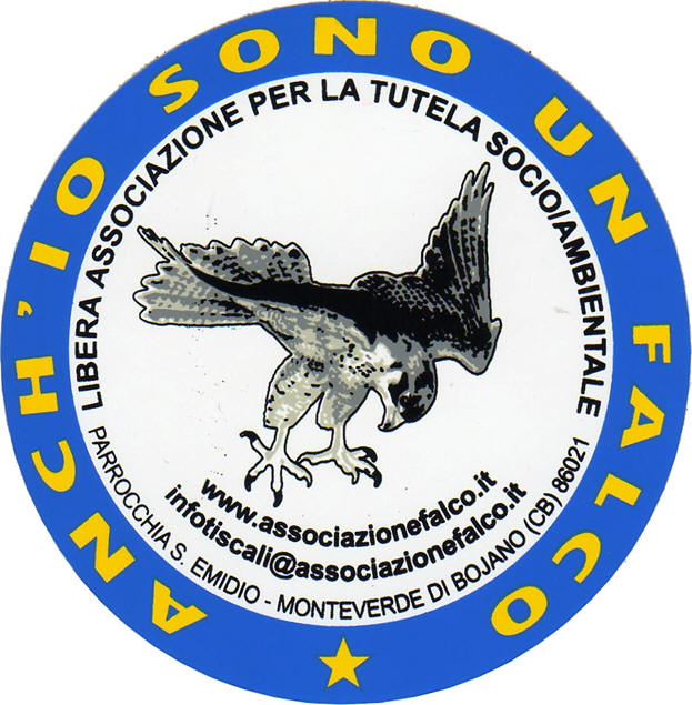 associazionefalco