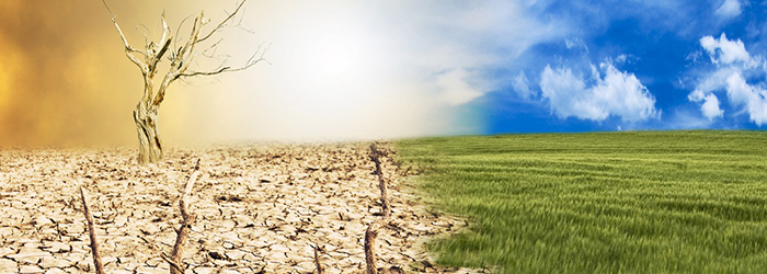 6° Giornata in Memoria di Lorenzo Tomatis “INQUINAMENTO AMBIENTALE E SALUTE: QUALE FUTURO PER LE NUOVE GENERAZIONI IN ITALIA”